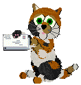 tax receipt cat