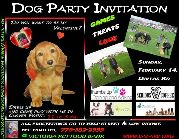 valentines dog party poster